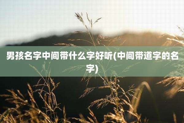 男孩名字中间带什么字好听(中间带道字的名字)
