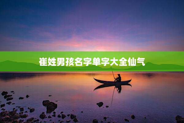崔姓男孩名字单字大全仙气
