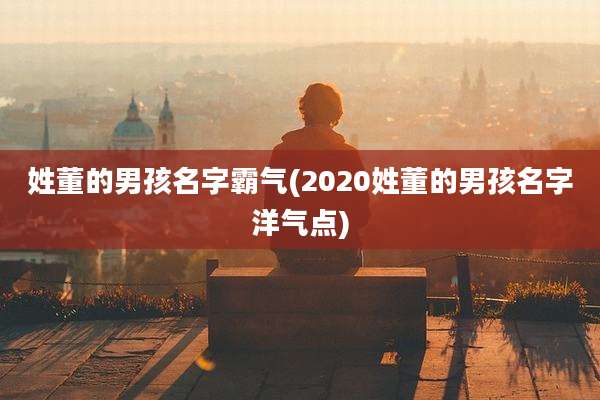 姓董的男孩名字霸气(2020姓董的男孩名字洋气点)