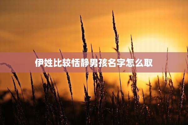 伊姓比较恬静男孩名字怎么取