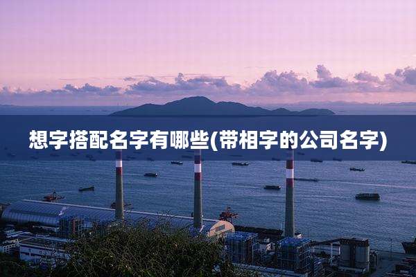 想字搭配名字有哪些(带相字的公司名字)