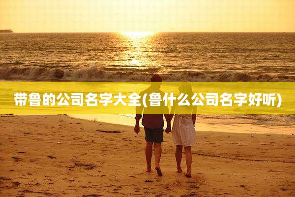 带鲁的公司名字大全(鲁什么公司名字好听)
