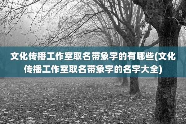 文化传播工作室取名带象字的有哪些(文化传播工作室取名带象字的名字大全)