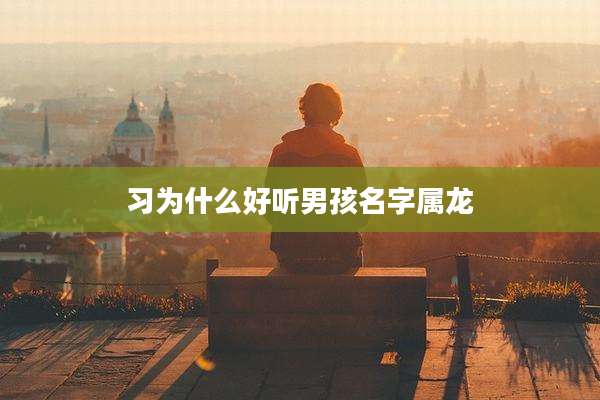 习为什么好听男孩名字属龙