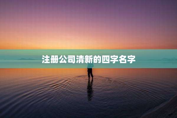 注册公司清新的四字名字