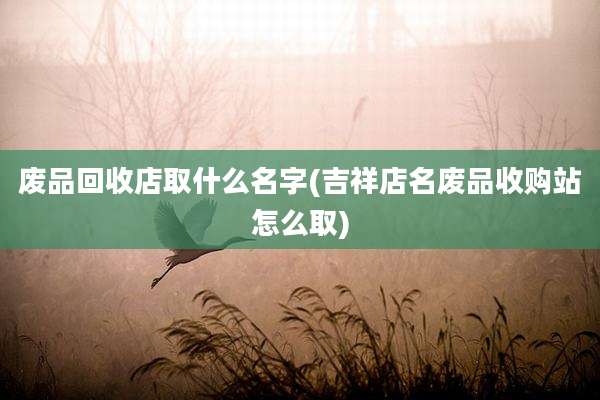 废品回收店取什么名字(吉祥店名废品收购站怎么取)