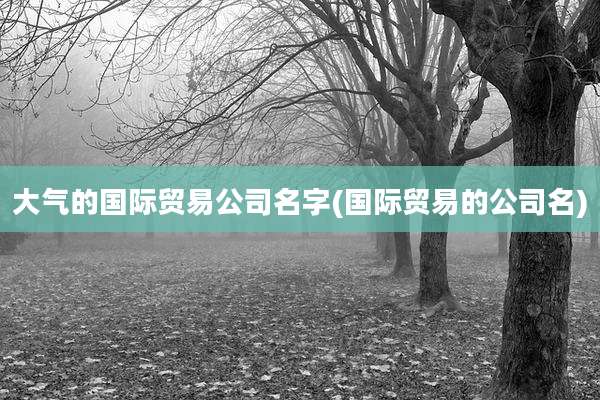 大气的国际贸易公司名字(国际贸易的公司名)