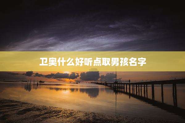 卫奥什么好听点取男孩名字
