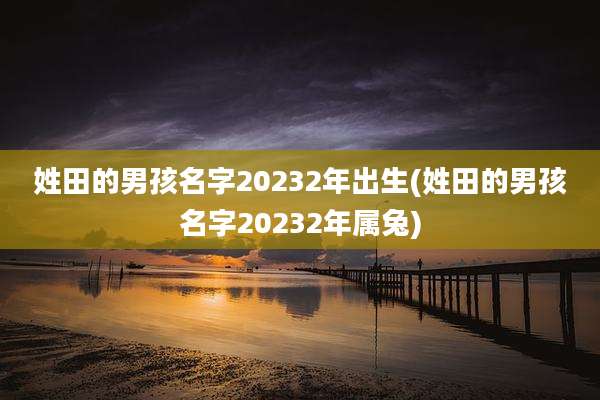 姓田的男孩名字20232年出生(姓田的男孩名字20232年属兔)