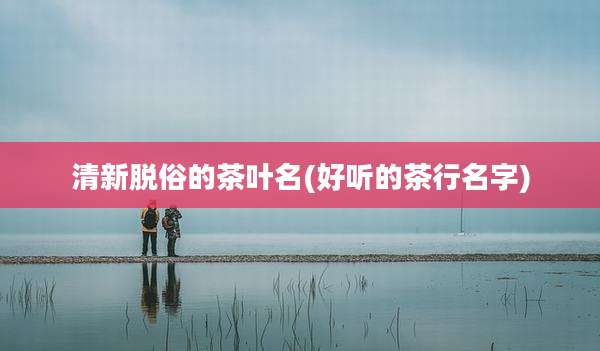 清新脱俗的茶叶名(好听的茶行名字)