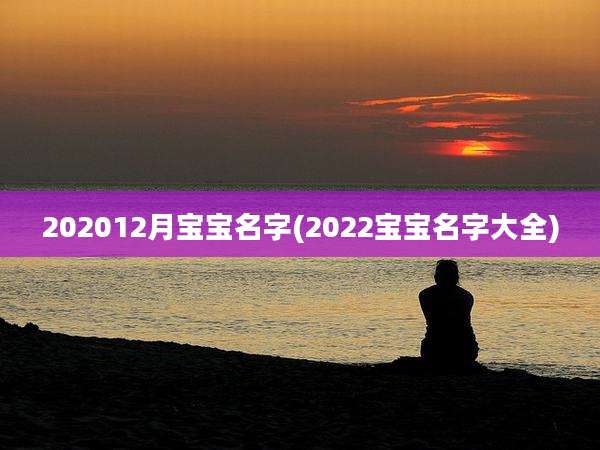 202012月宝宝名字(2022宝宝名字大全)