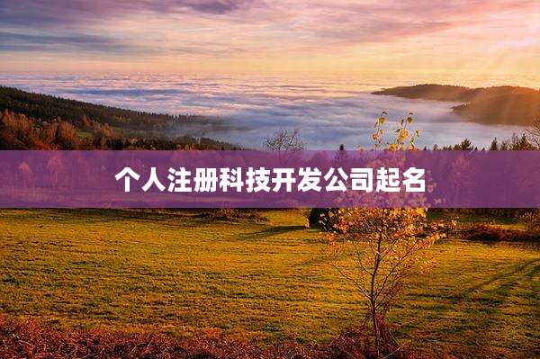 个人注册科技开发公司起名