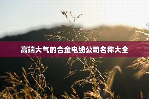 高端大气的合金电缆公司名称大全