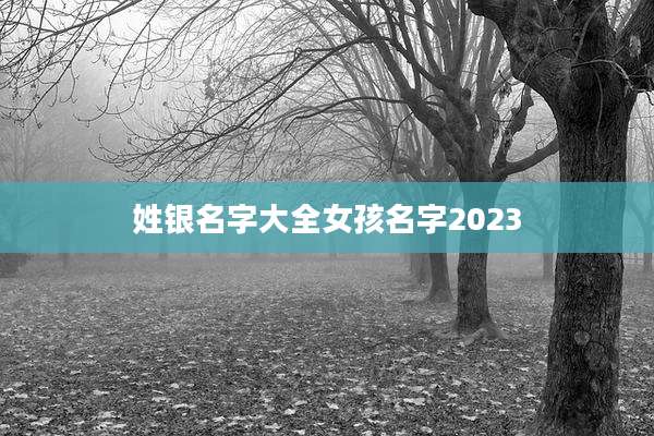 姓银名字大全女孩名字2023
