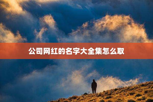 公司网红的名字大全集怎么取
