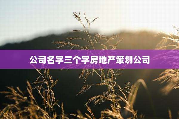 公司名字三个字房地产策划公司