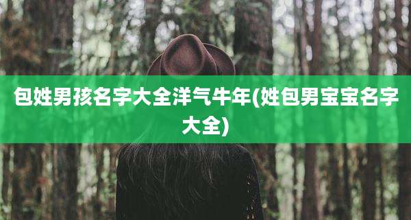 包姓男孩名字大全洋气牛年(姓包男宝宝名字大全)
