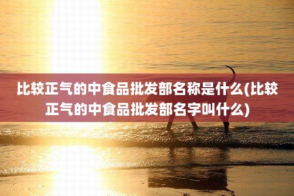 比较正气的中食品批发部名称是什么(比较正气的中食品批发部名字叫什么)