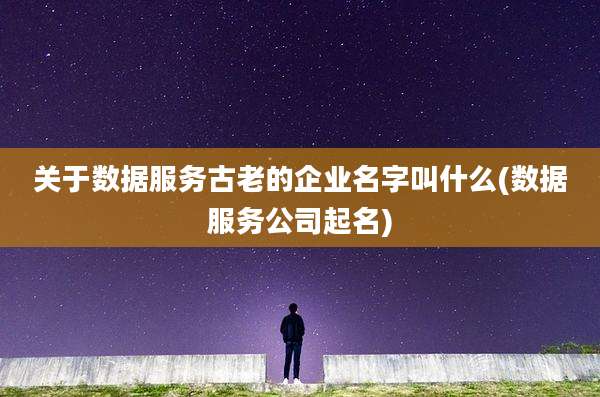 关于数据服务古老的企业名字叫什么(数据服务公司起名)