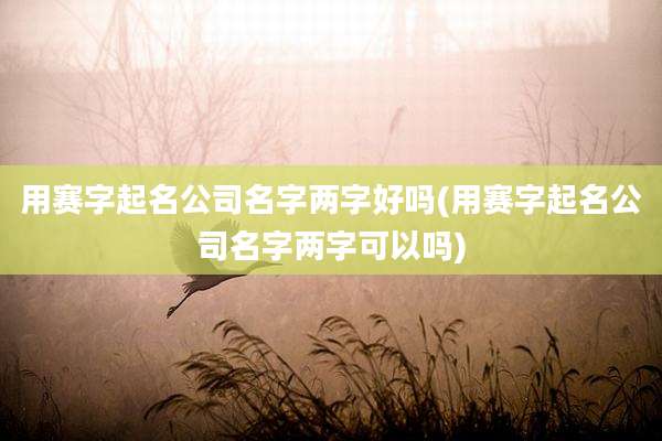 用赛字起名公司名字两字好吗(用赛字起名公司名字两字可以吗)