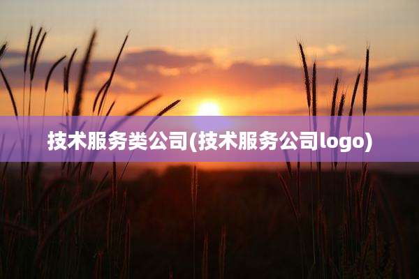 技术服务类公司(技术服务公司logo)