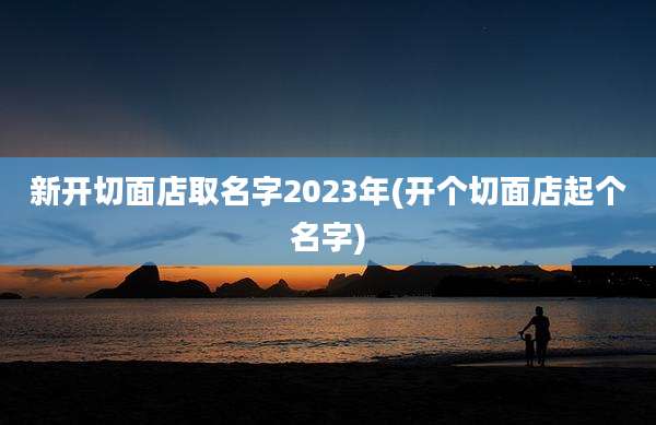 新开切面店取名字2023年(开个切面店起个名字)