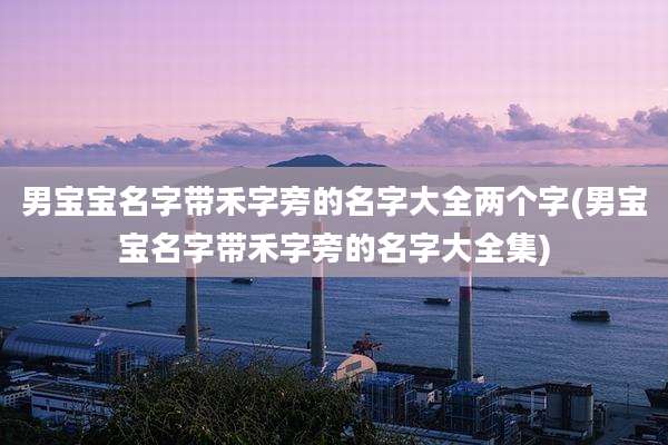 男宝宝名字带禾字旁的名字大全两个字(男宝宝名字带禾字旁的名字大全集)