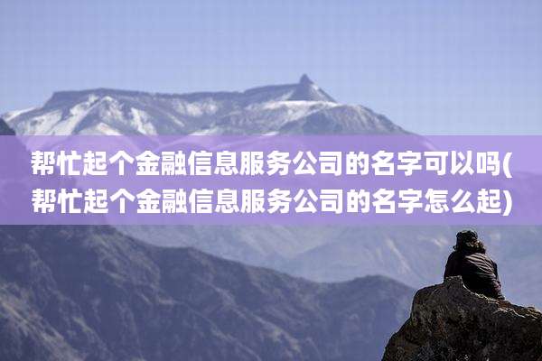 帮忙起个金融信息服务公司的名字可以吗(帮忙起个金融信息服务公司的名字怎么起)