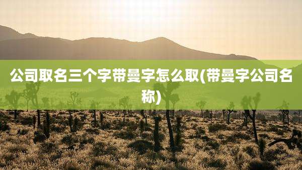公司取名三个字带曼字怎么取(带曼字公司名称)