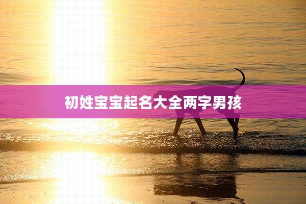 初姓宝宝起名大全两字男孩