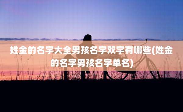 姓金的名字大全男孩名字双字有哪些(姓金的名字男孩名字单名)