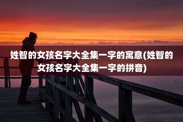 姓智的女孩名字大全集一字的寓意(姓智的女孩名字大全集一字的拼音)