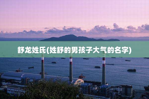 舒龙姓氏(姓舒的男孩子大气的名字)