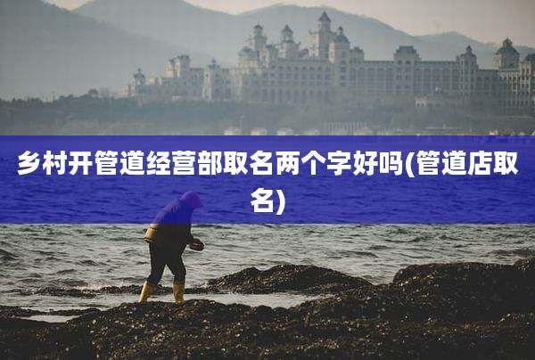 乡村开管道经营部取名两个字好吗(管道店取名)