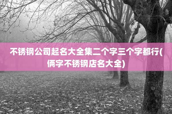 不锈钢公司起名大全集二个字三个字都行(俩字不锈钢店名大全)