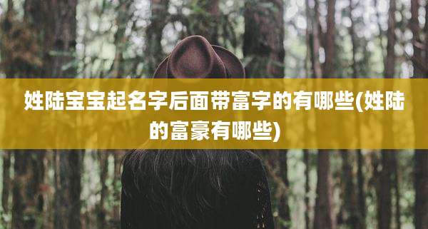 姓陆宝宝起名字后面带富字的有哪些(姓陆的富豪有哪些)