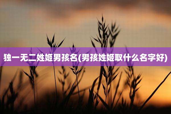 独一无二姓姬男孩名(男孩姓姬取什么名字好)