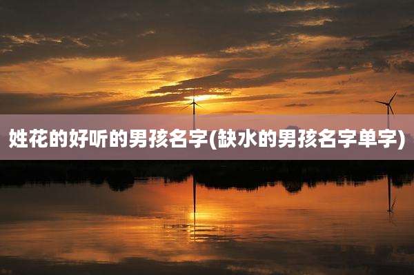 姓花的好听的男孩名字(缺水的男孩名字单字)