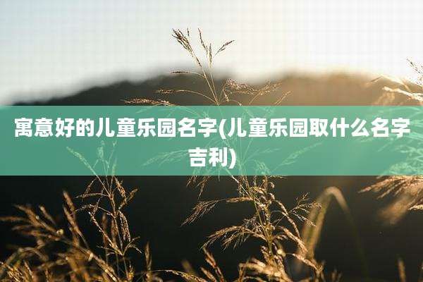 寓意好的儿童乐园名字(儿童乐园取什么名字吉利)