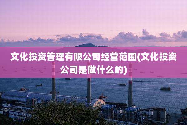 文化投资管理有限公司经营范围(文化投资公司是做什么的)
