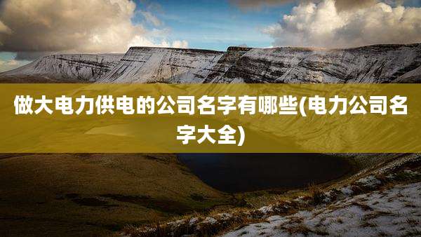 做大电力供电的公司名字有哪些(电力公司名字大全)