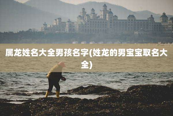 属龙姓名大全男孩名字(姓龙的男宝宝取名大全)