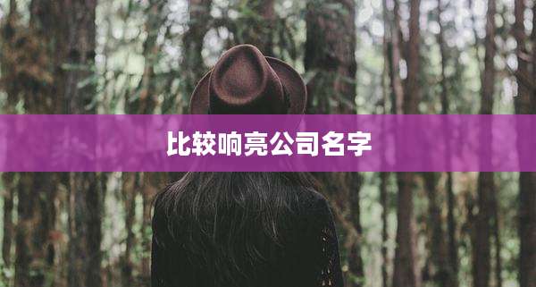 比较响亮公司名字