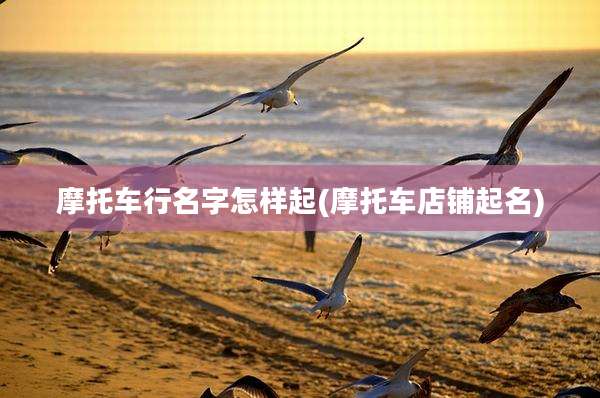 摩托车行名字怎样起(摩托车店铺起名)