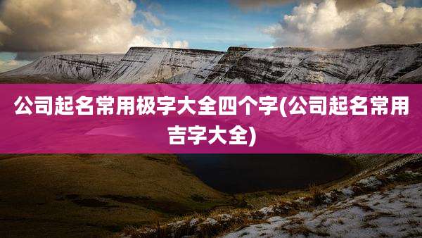 公司起名常用极字大全四个字(公司起名常用吉字大全)