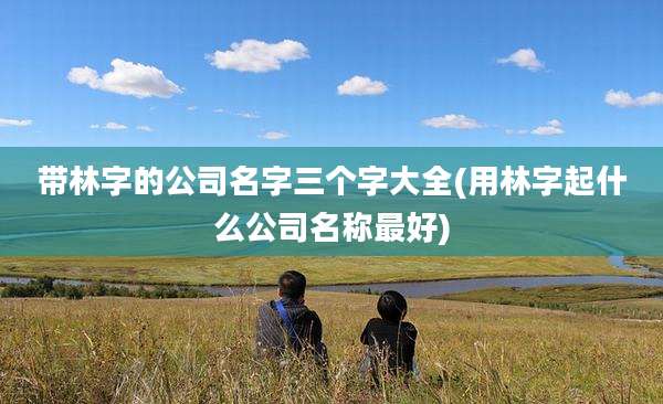 带林字的公司名字三个字大全(用林字起什么公司名称最好)