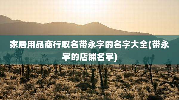 家居用品商行取名带永字的名字大全(带永字的店铺名字)