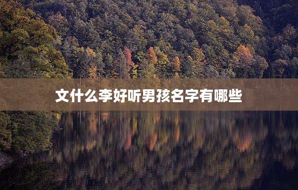 文什么李好听男孩名字有哪些