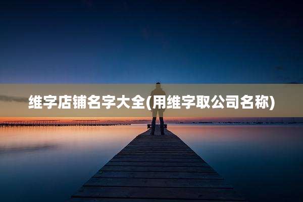 维字店铺名字大全(用维字取公司名称)