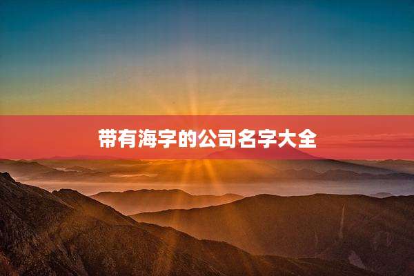 带有海字的公司名字大全